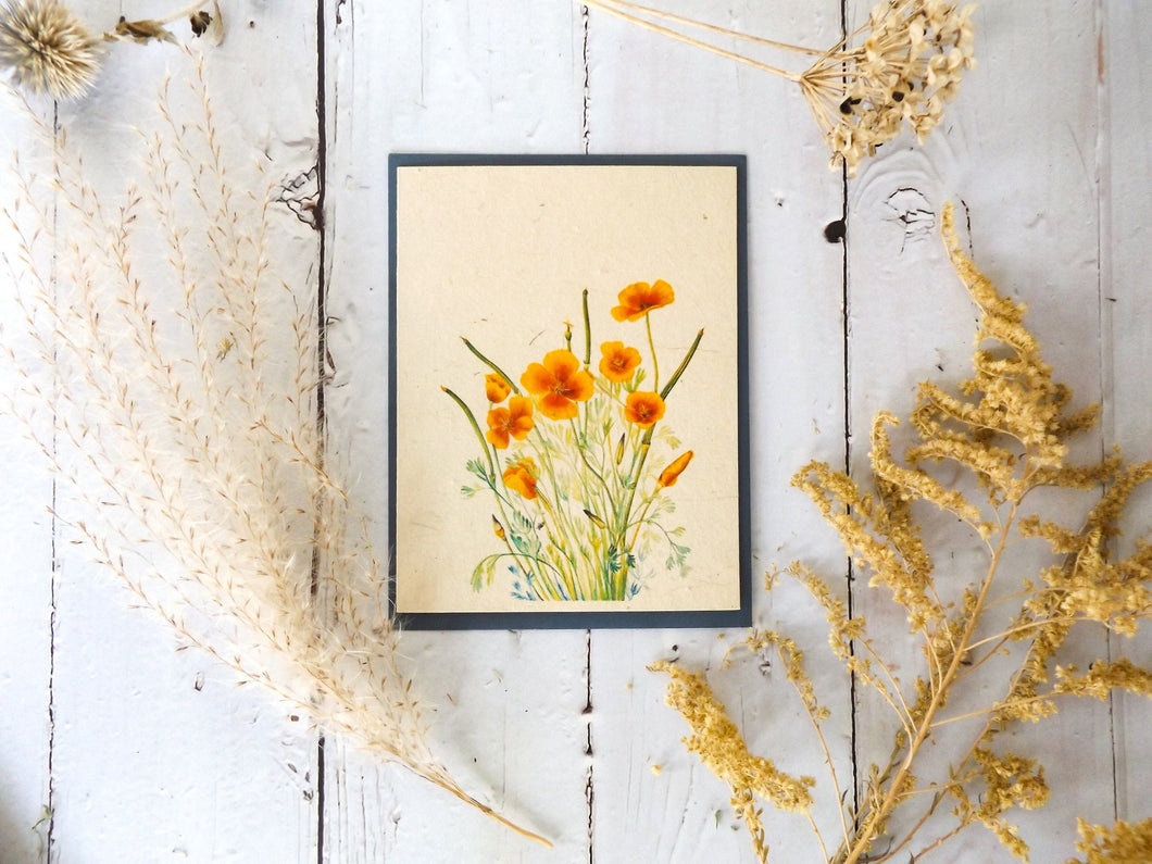 Plantable Vintage Cards | 6 pack Wildflower Seed Paper | Beyond Zero Waste | Mexican Poppy
