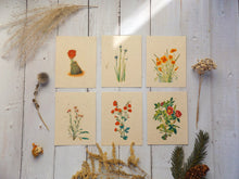 Load image into Gallery viewer, Vintage Inspired Postcards On Seed Paper || Wildflowers Will Grow || 6-pack of Postcards || Eco-friendly || Supports Women in Nepal
